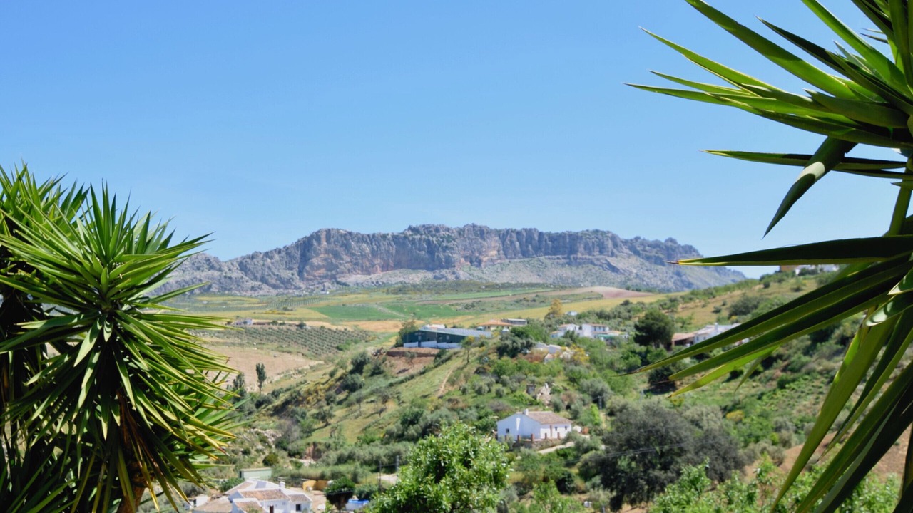 Photo of Others in Antequera