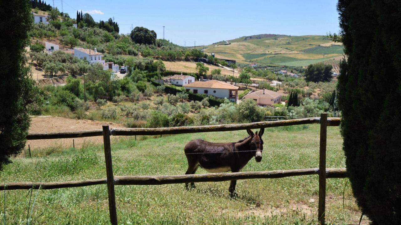Photo of Others in Antequera
