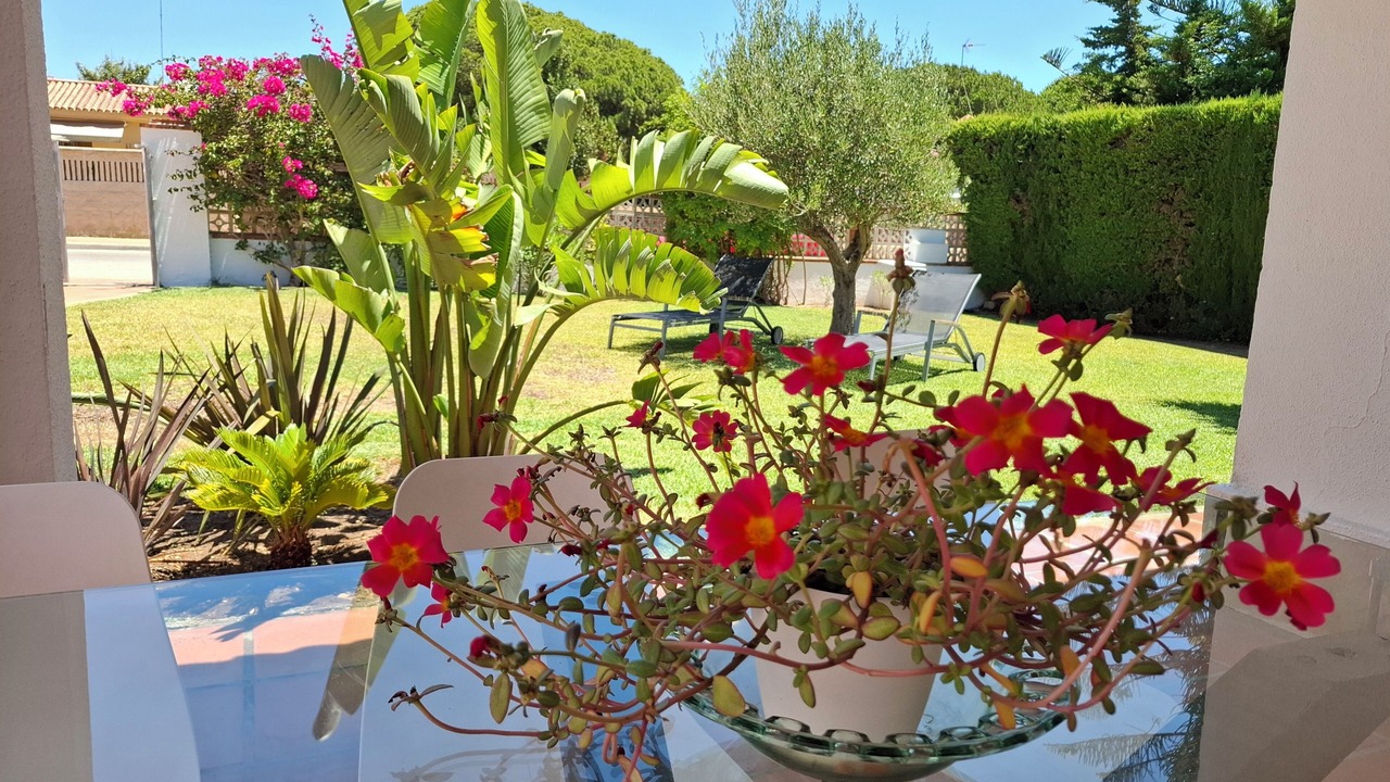 Photo of Patio Balcony in Cabo Roche
