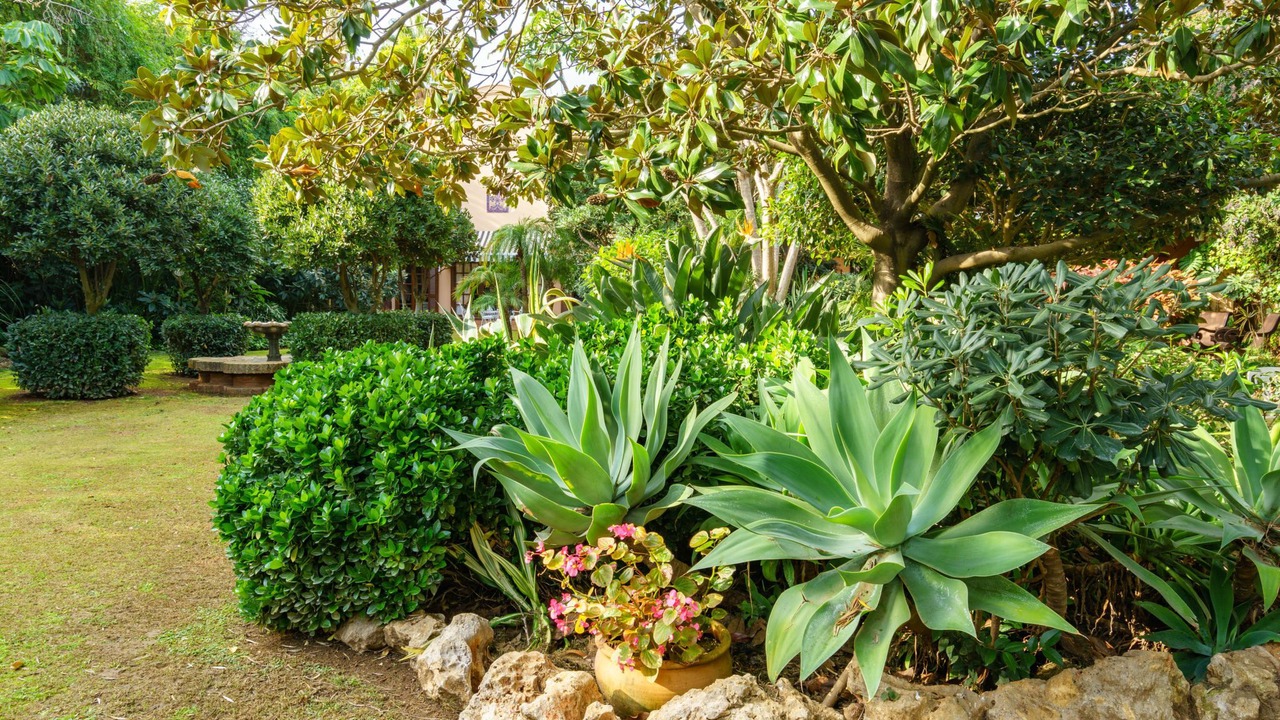 Photo of Outdoor in Guadalmina