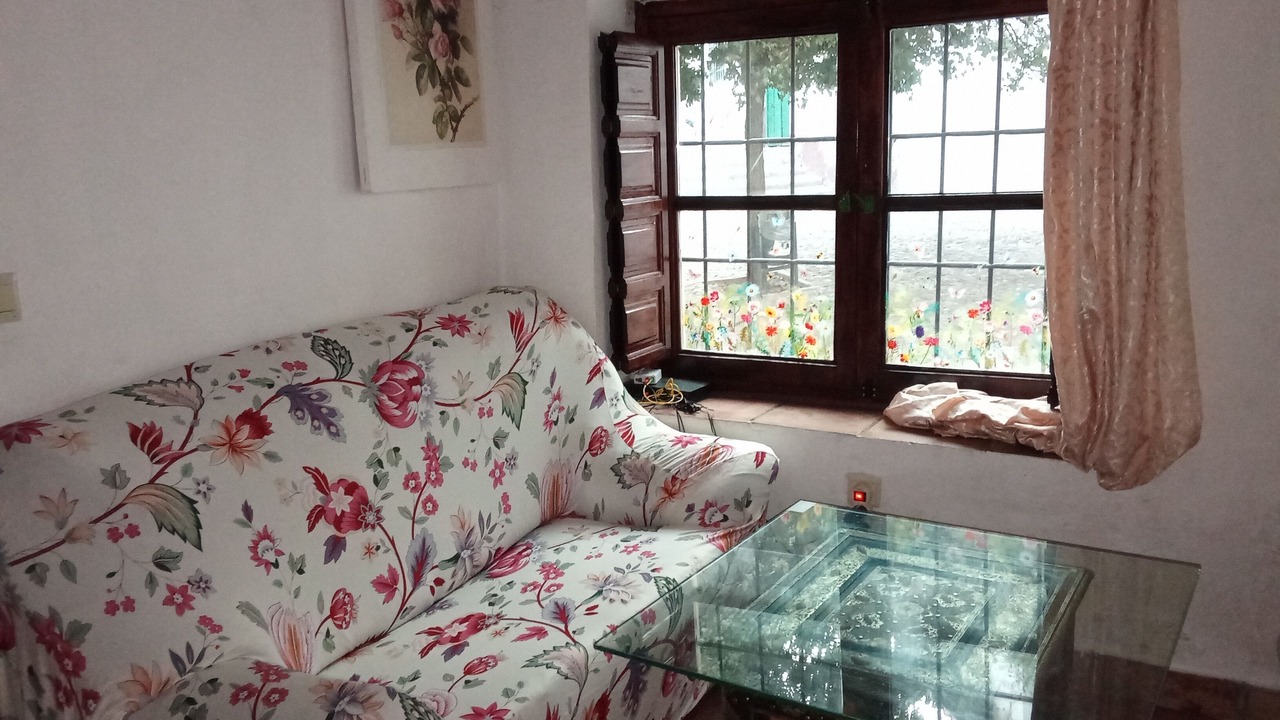 Photo of Livingroom in Albaicin