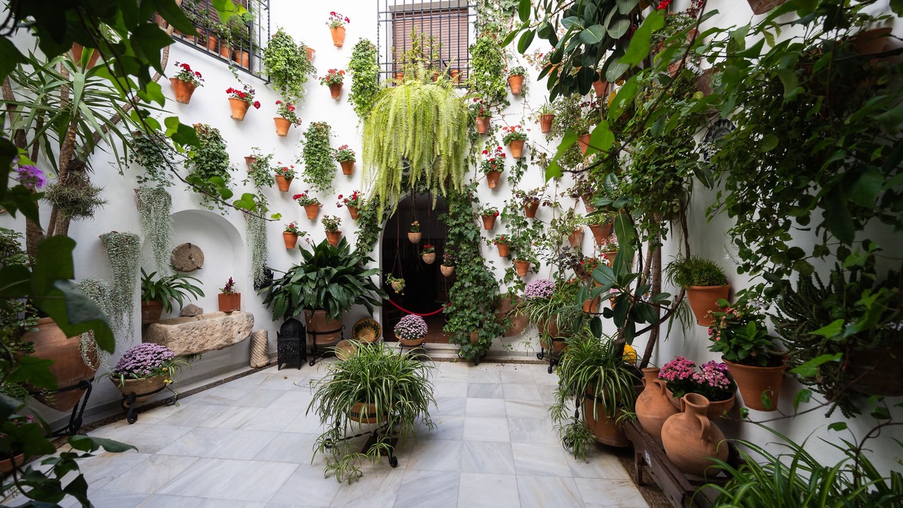 Photo of Outdoor in San Basilio