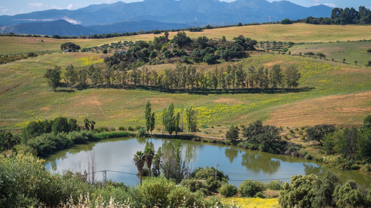 Photo of Outdoor in Casarabonela