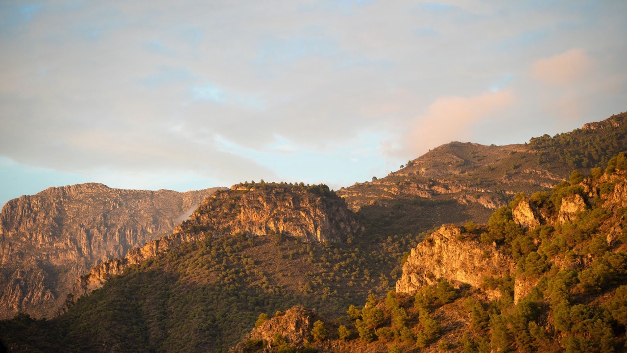 Photo of Others in Frigiliana