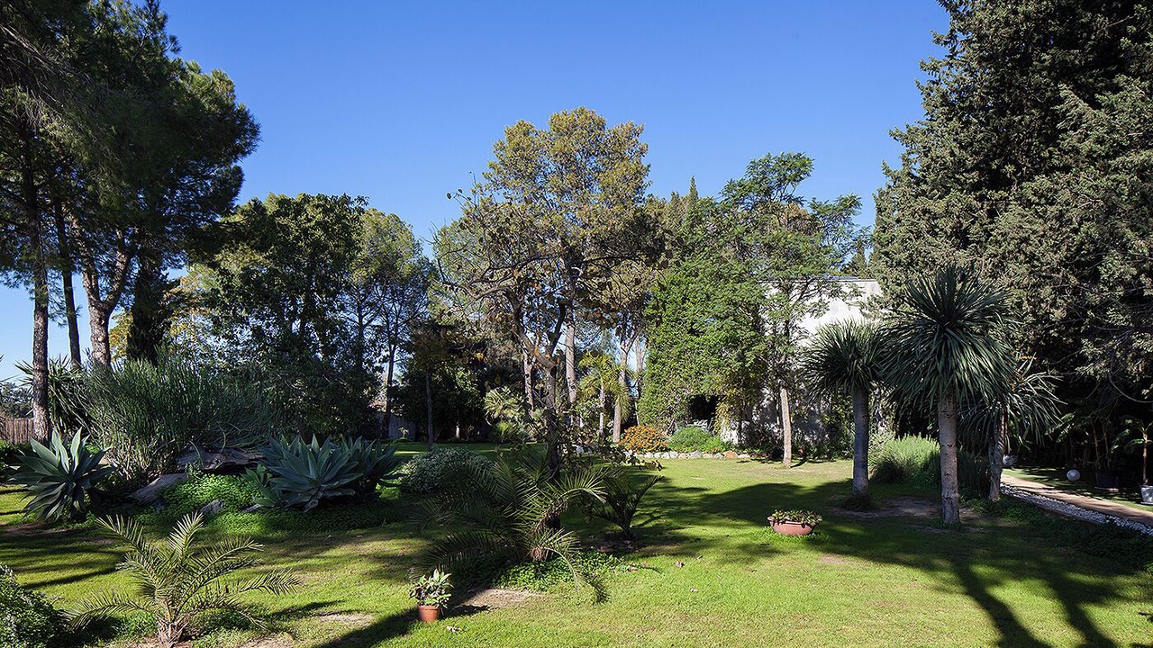 Photo of Outdoor in Espartinas