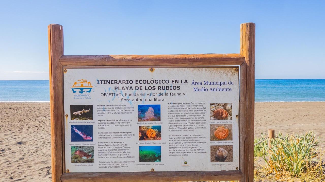 Photo of Outdoor in Torre de Benagalbon