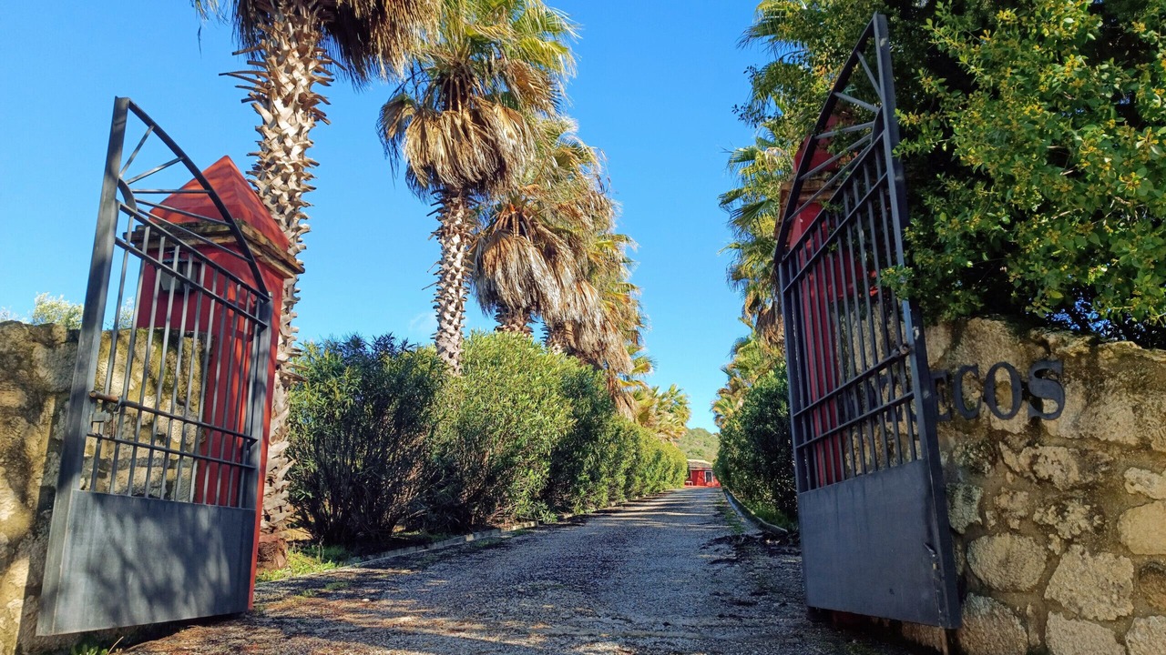 Photo of Outdoor in Lora Del Rio
