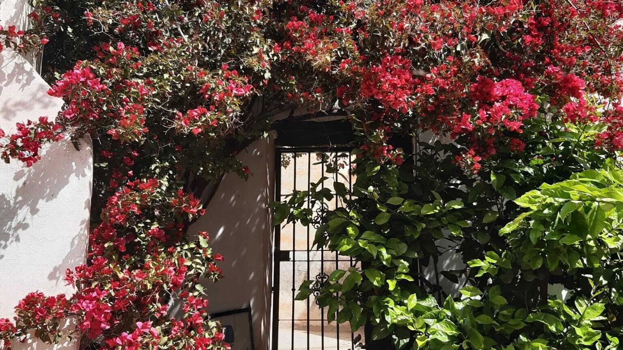 Photo of Outdoor in Albunuelas