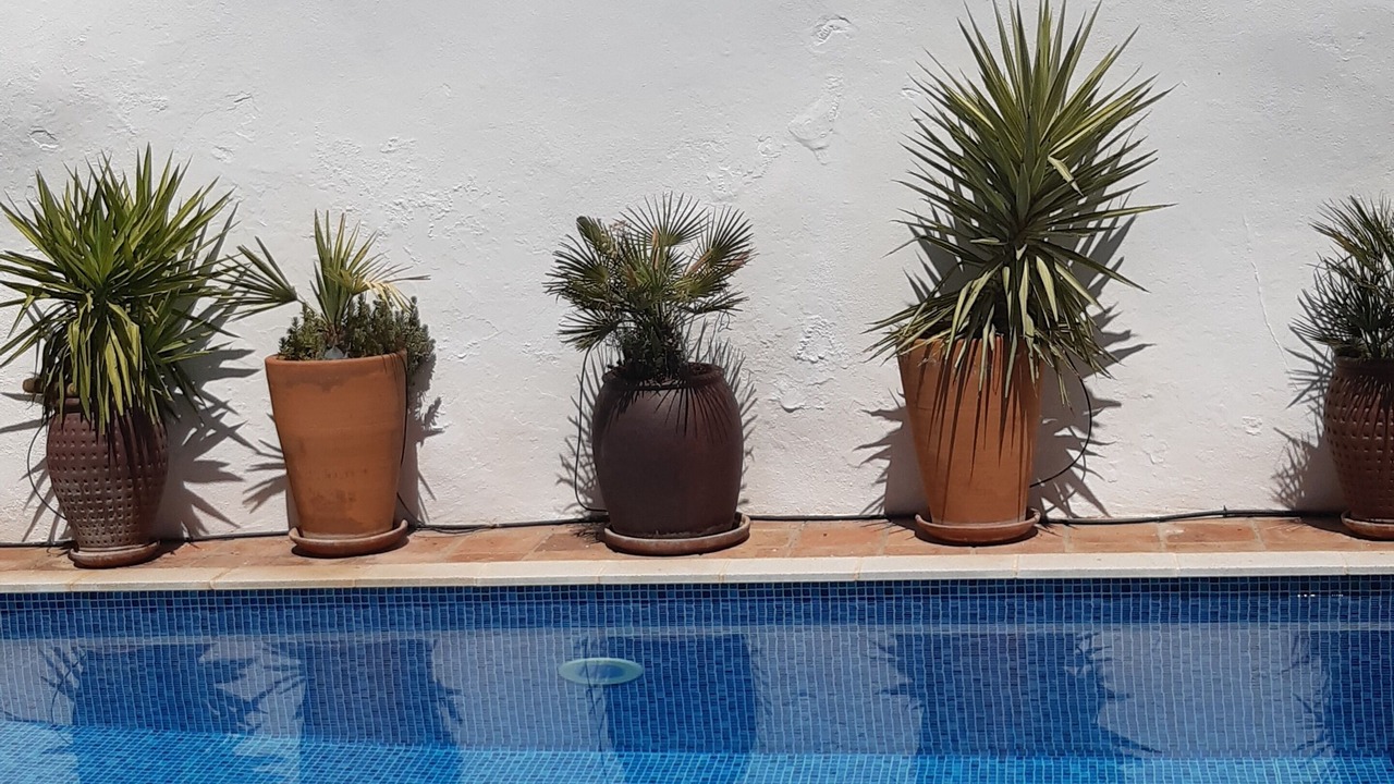 Photo of Outdoor in Albunuelas