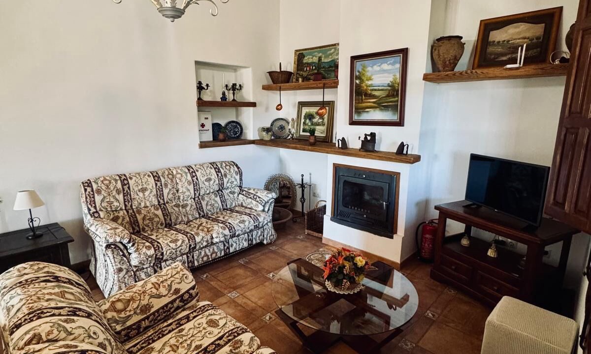 Photo of Livingroom in Trapiche