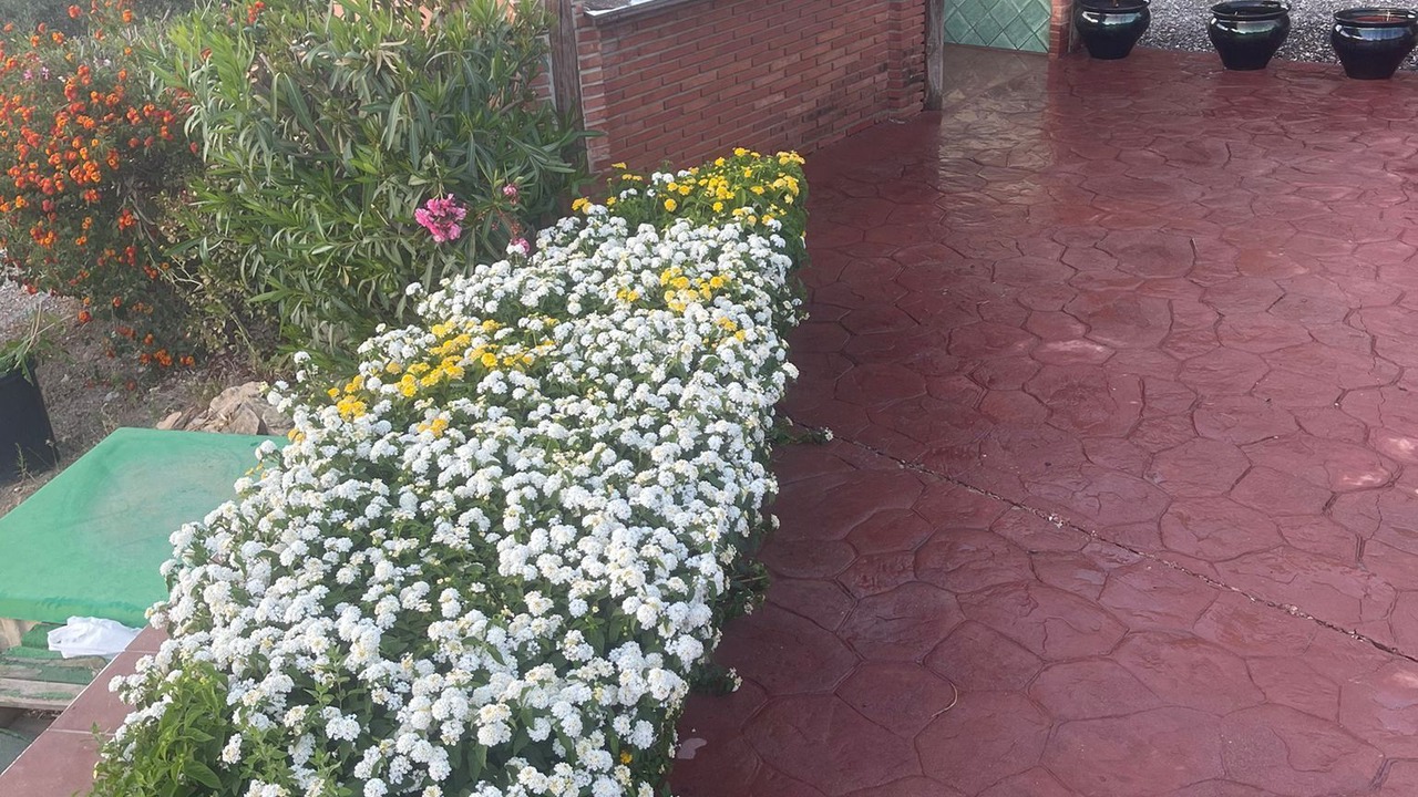Photo of Outdoor in Valle de Abdalagis