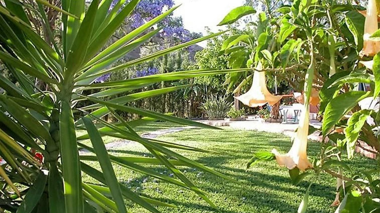 Photo of Outdoor in Canillas de Aceituno