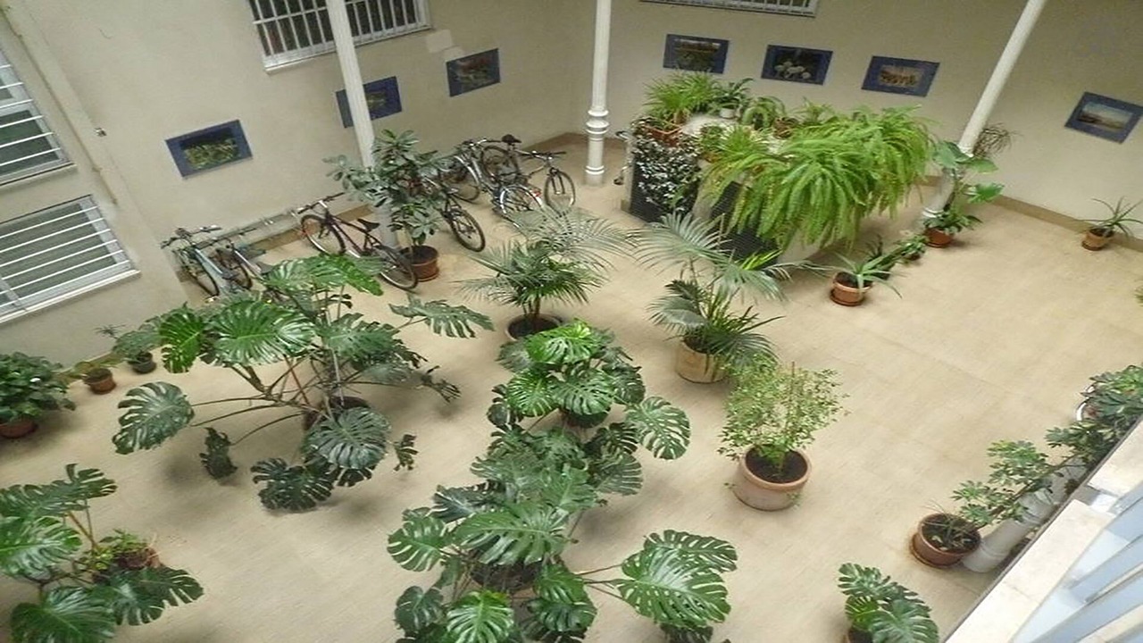 Photo of Outdoor in Centro