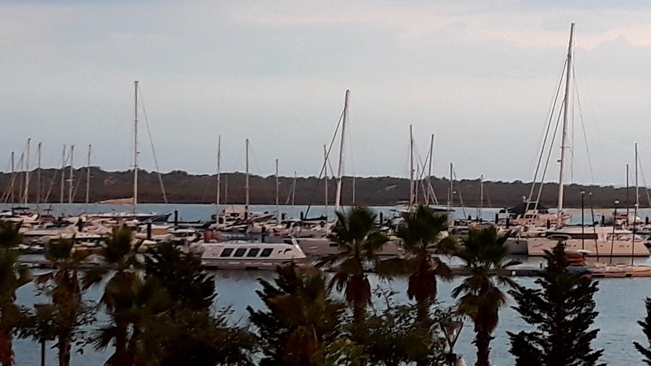 Photo of Others in El Rompido