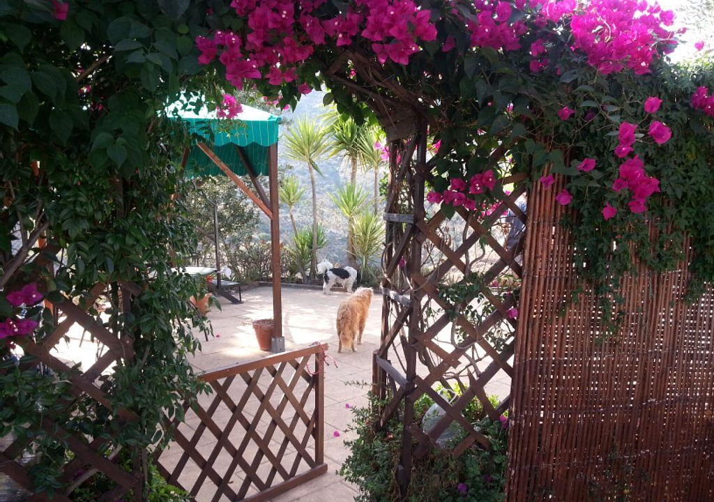 Photo of Others in Canillas de Aceituno