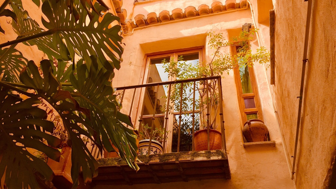 Photo of Others in El Valle