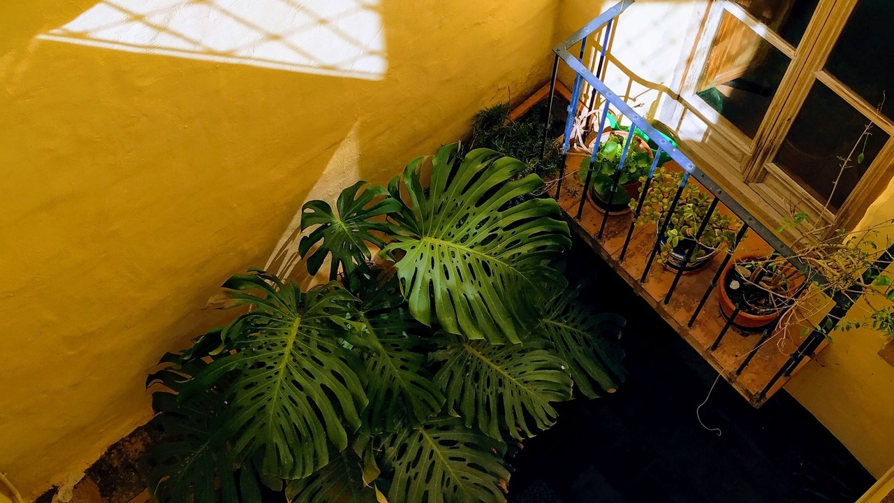Photo of Outdoor in El Valle