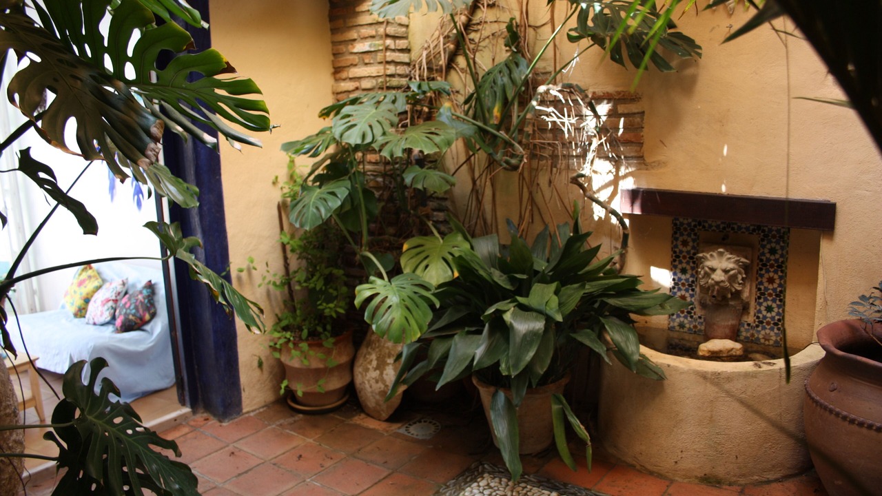 Photo of Others in El Valle