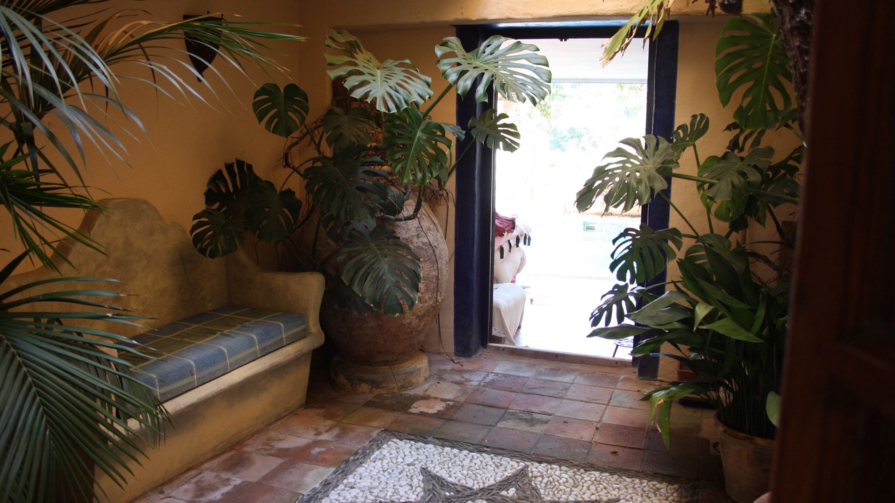 Photo of Others in El Valle