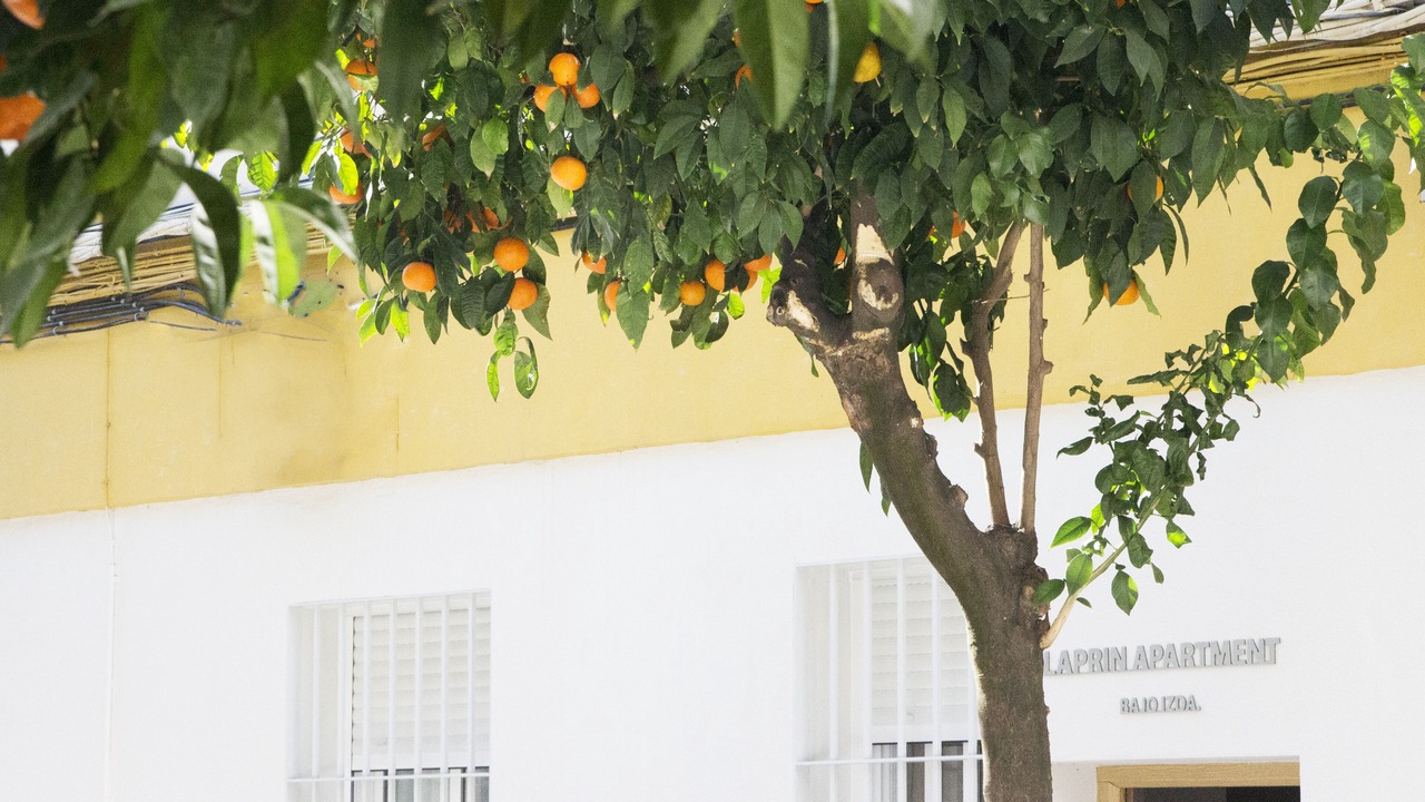 Photo of Outdoor in Ciudad Jardin