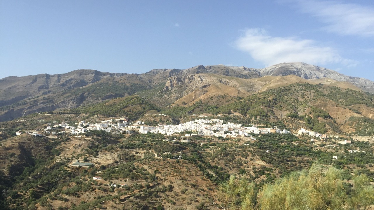 Photo of Others in Canillas de Aceituno