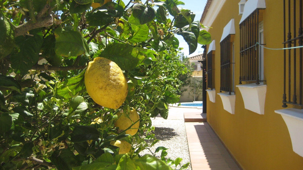 Photo of Outdoor in Chiclana de la Frontera