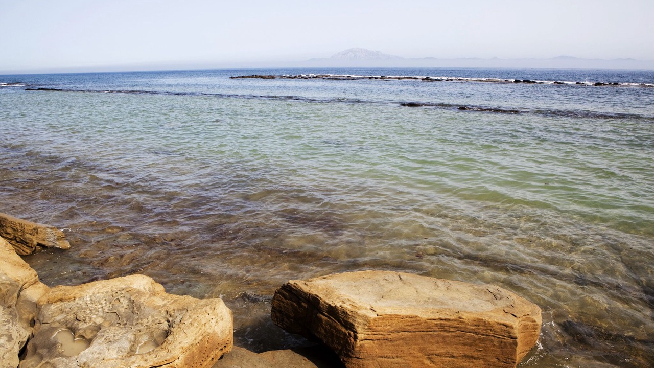 Photo of Others in Tarifa