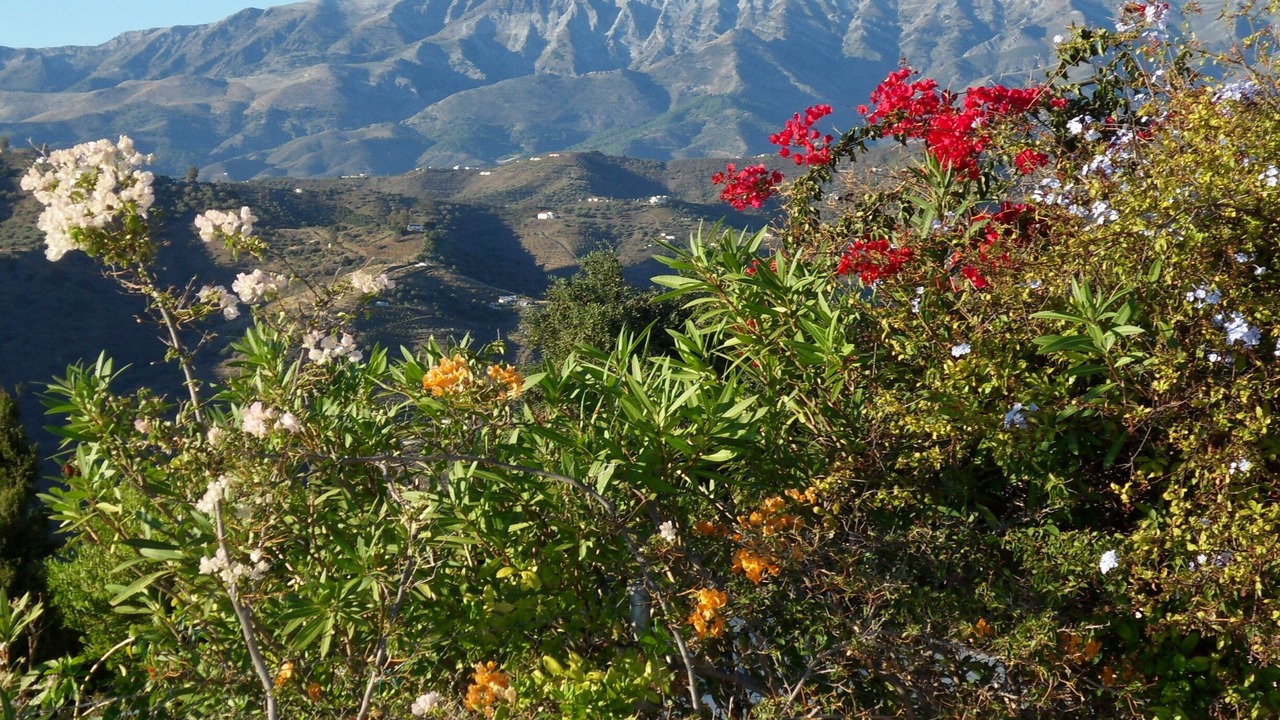 Photo of Outdoor in Sayalonga