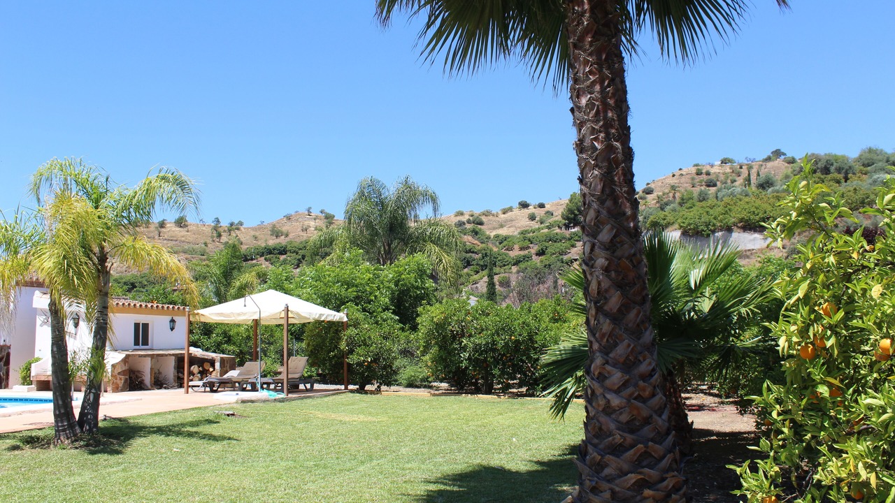 Photo of Outdoor in Coin