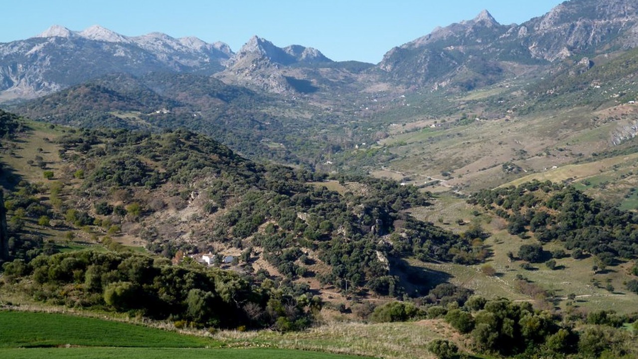 Photo of Others in Grazalema