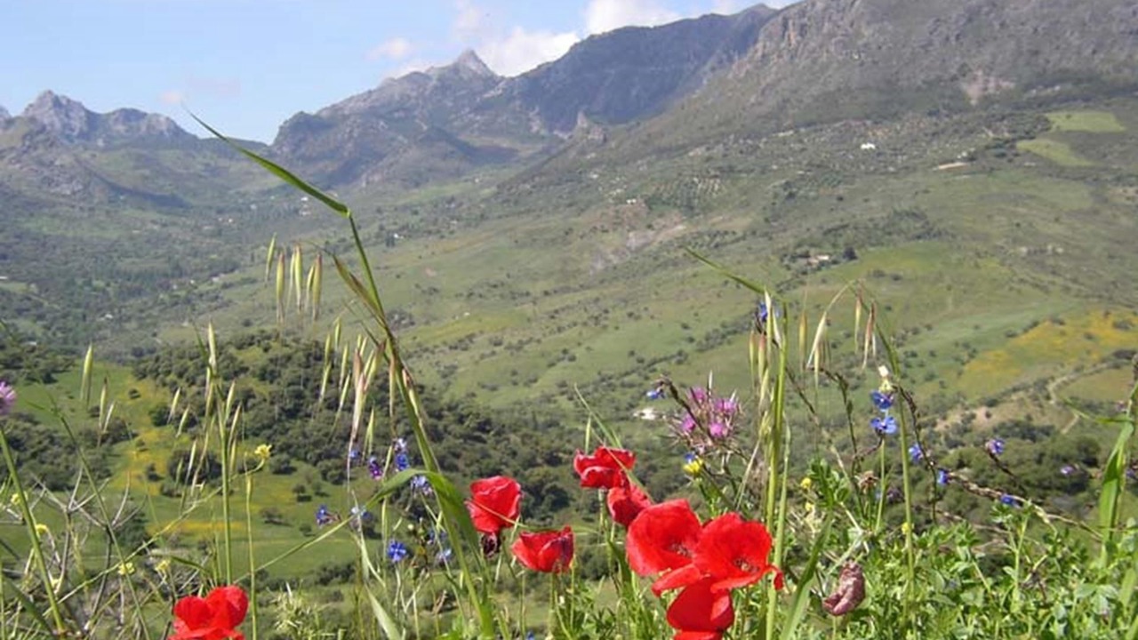 Photo of Outdoor in Grazalema