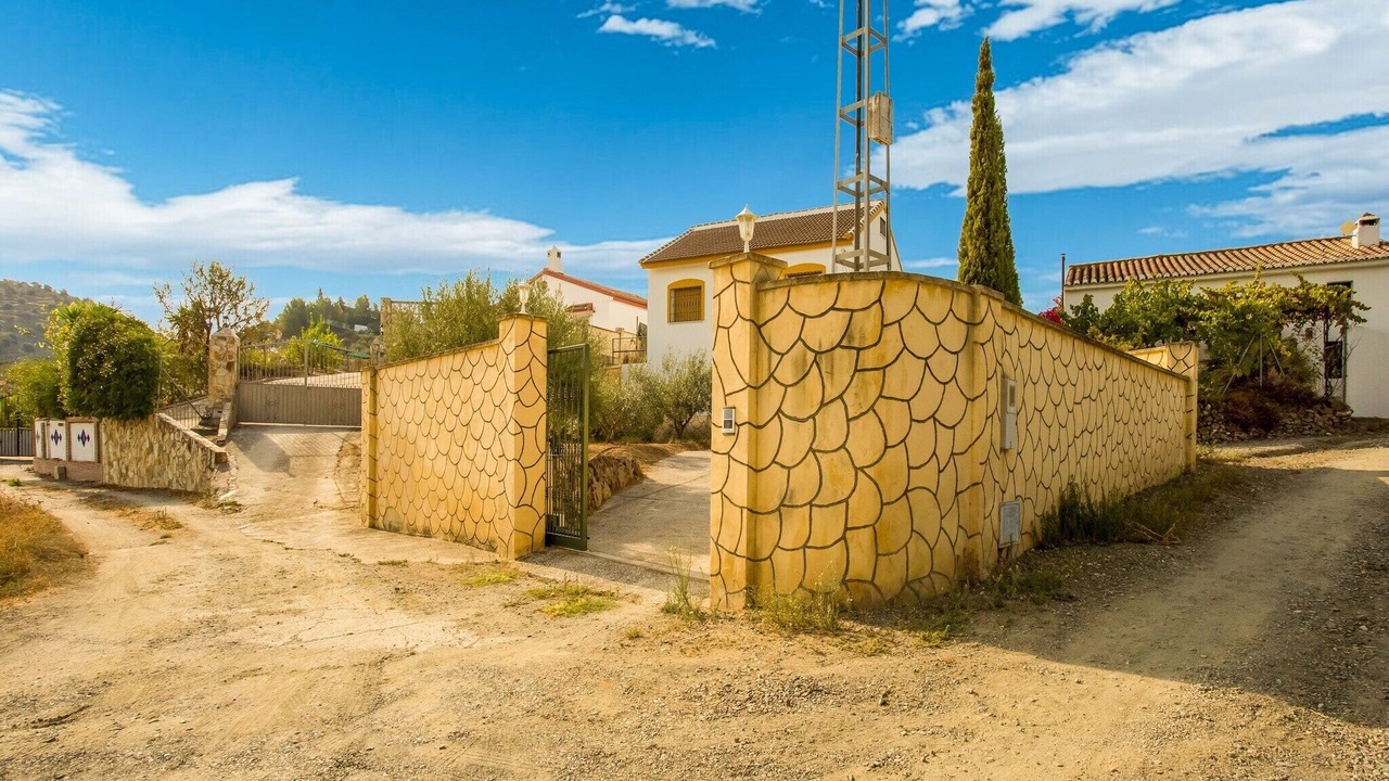 Photo of Others in Guaro