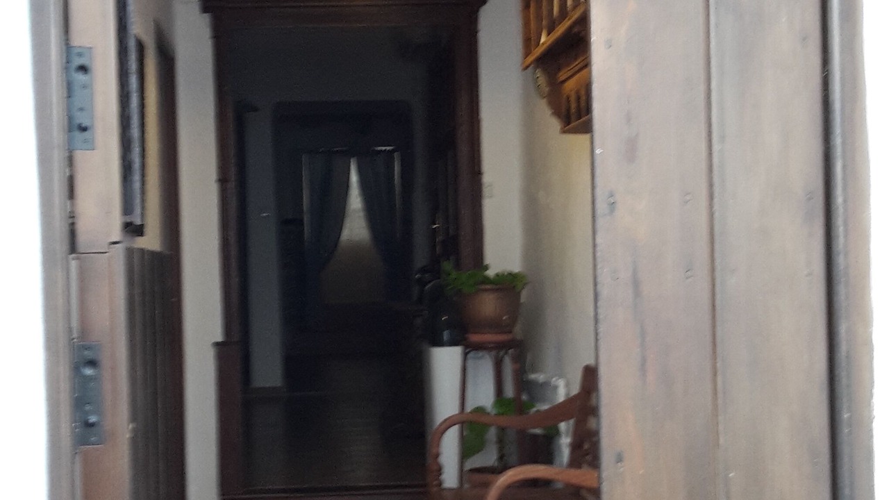 Photo of Others in Algodonales