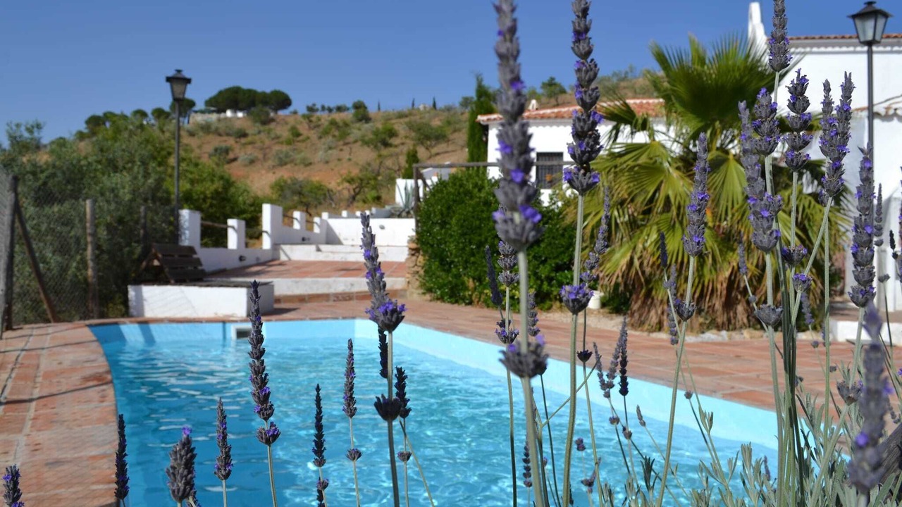 Photo of Outdoor in Almogia