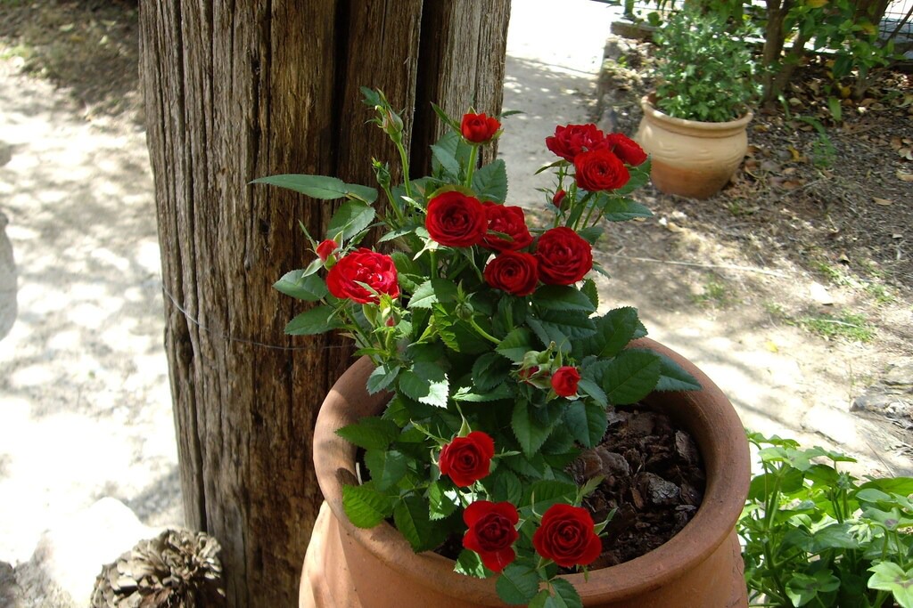 Photo of Patio Balcony in La Acena de la Borrega