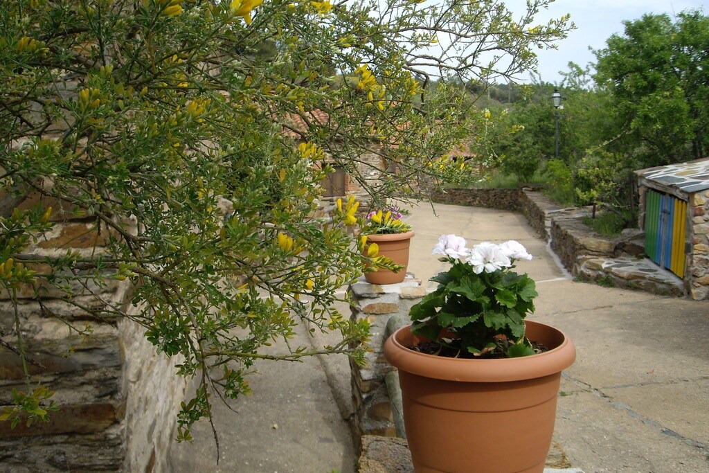 Photo of Patio Balcony in La Acena de la Borrega
