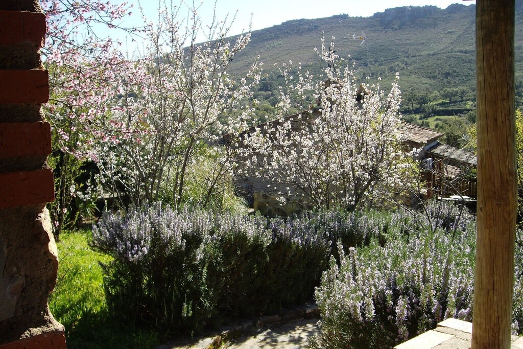 Photo of Others in La Acena de la Borrega