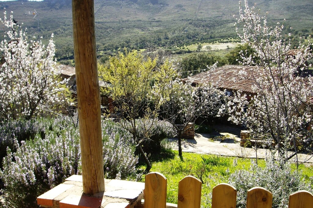 Photo of Patio Balcony in La Acena de la Borrega