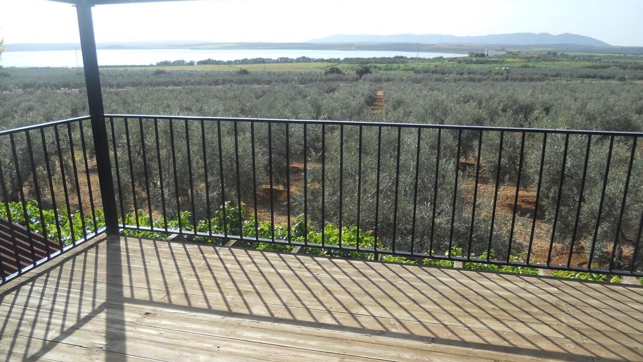 Photo of Patio Balcony in Fuente de Piedra