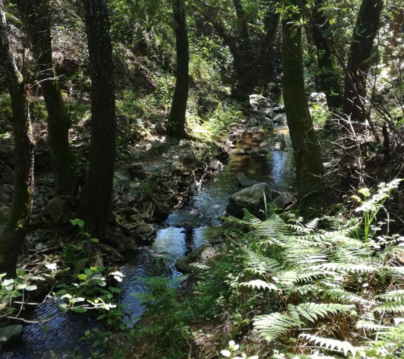 Photo of Outdoor in Linares de la Sierra