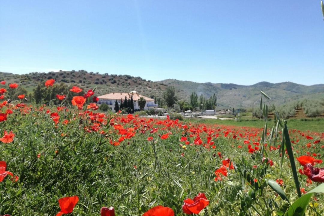 Photo of Others in Colmenar