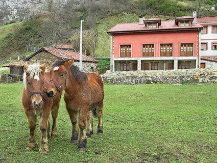 Photo of Others in Paramo