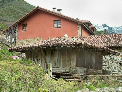 Photo of Others in Paramo