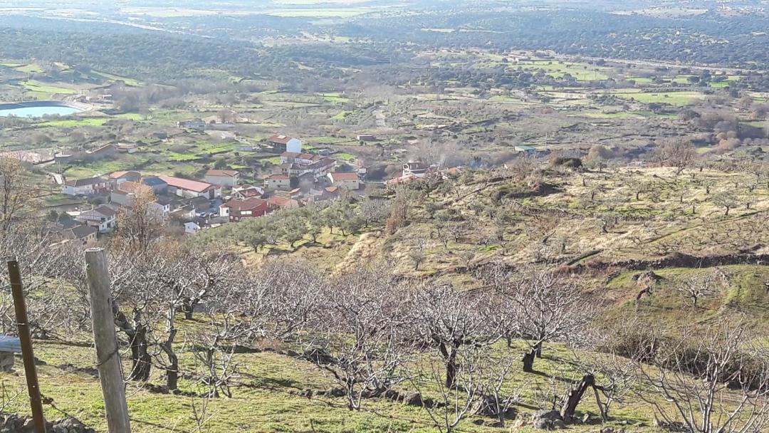Photo of Others in Gargantilla