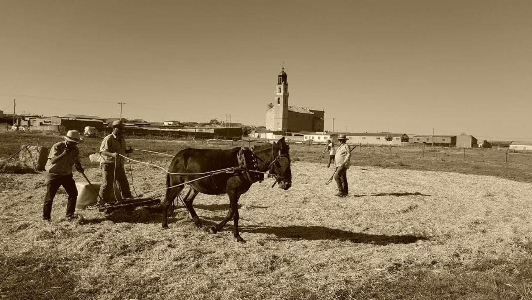 Photo of Others in Villaverde de Medina