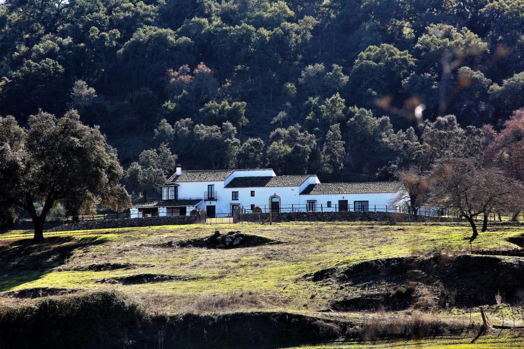 Photo of Others in Constantina