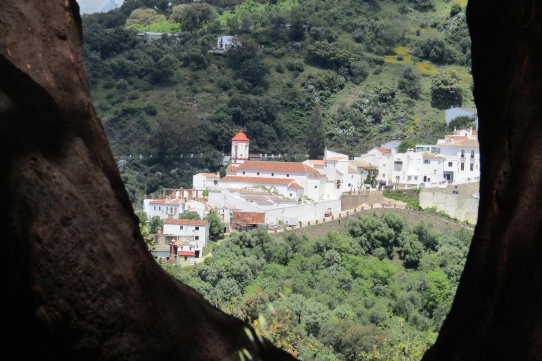Photo of Others in Genalguacil