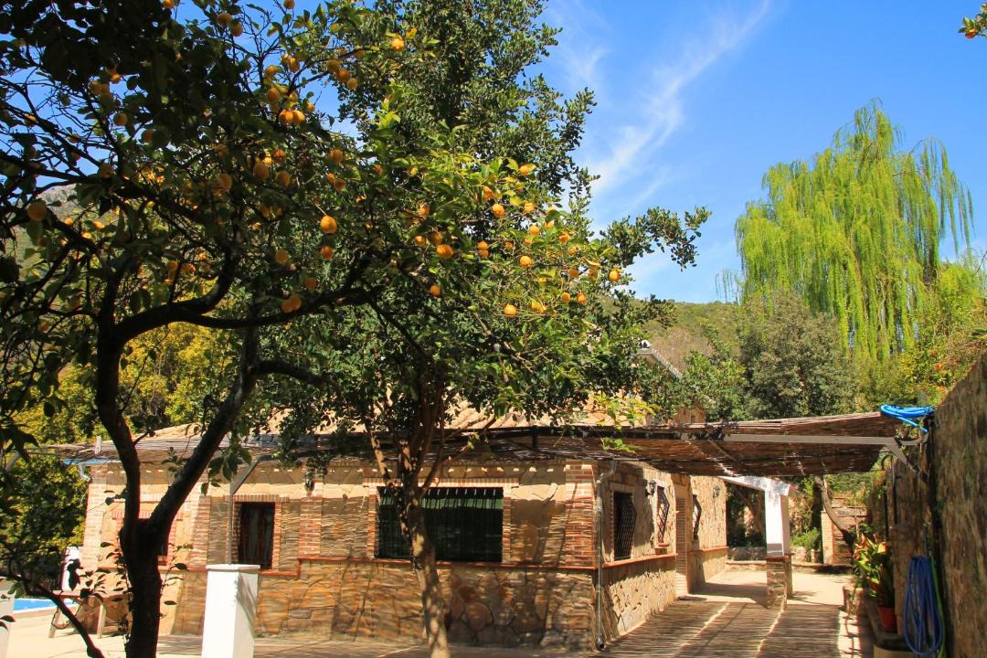 Photo of Others in Benamahoma