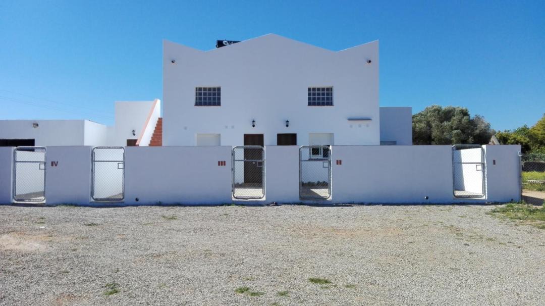 Photo of Others in Conil de la Frontera