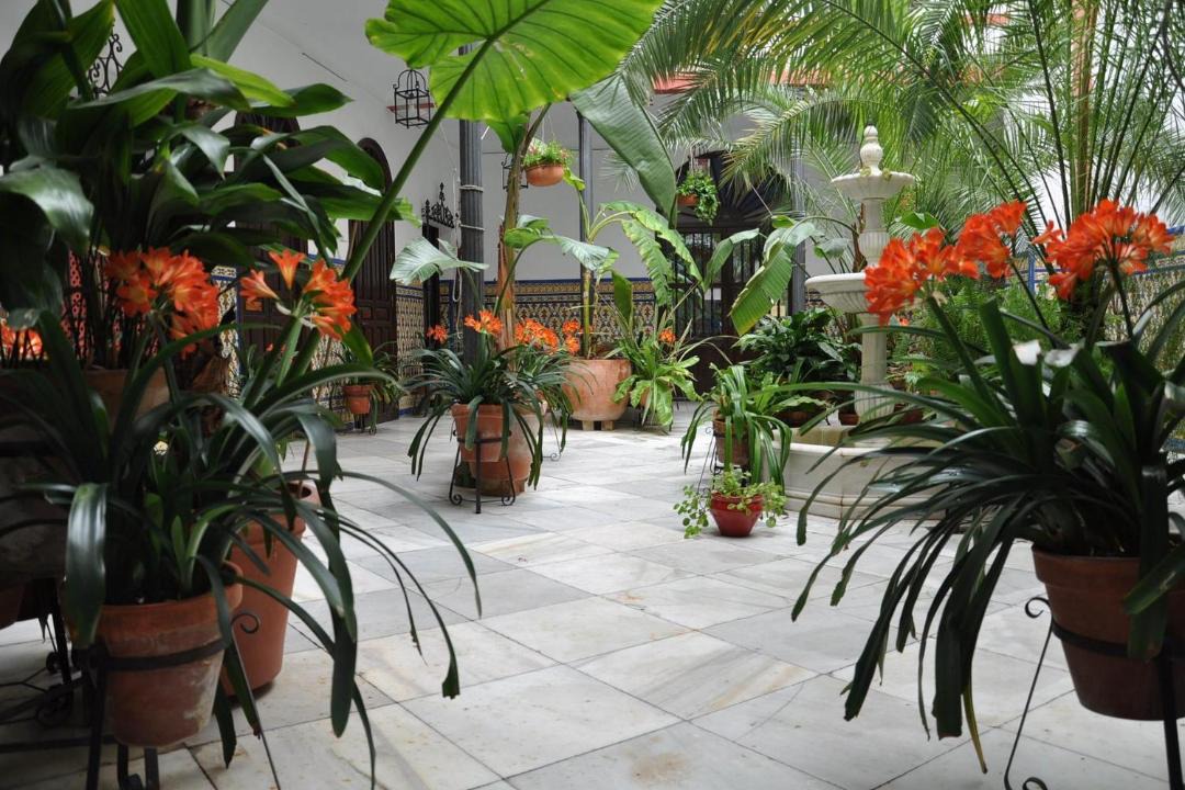 Photo of Others in Distrito Centro